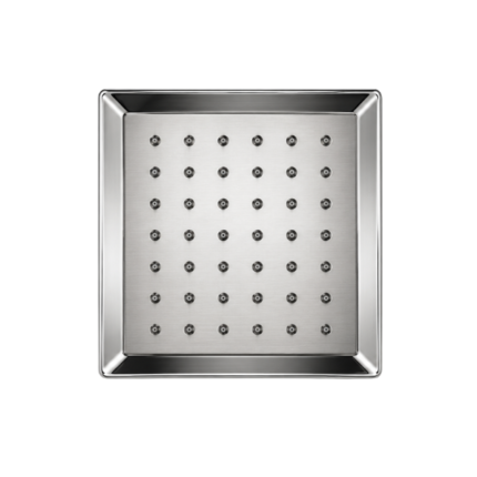 CURVE S.S Shower with BRASS FITTINGS