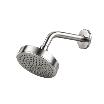 PRIME C.P Shower with Arm