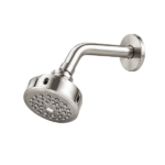 COUNTY C.P Shower with Arm