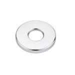 FLAT S.S Flange