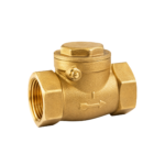 Brass Swing Check Valve (Heavy)